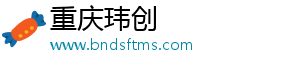 重庆玮创
